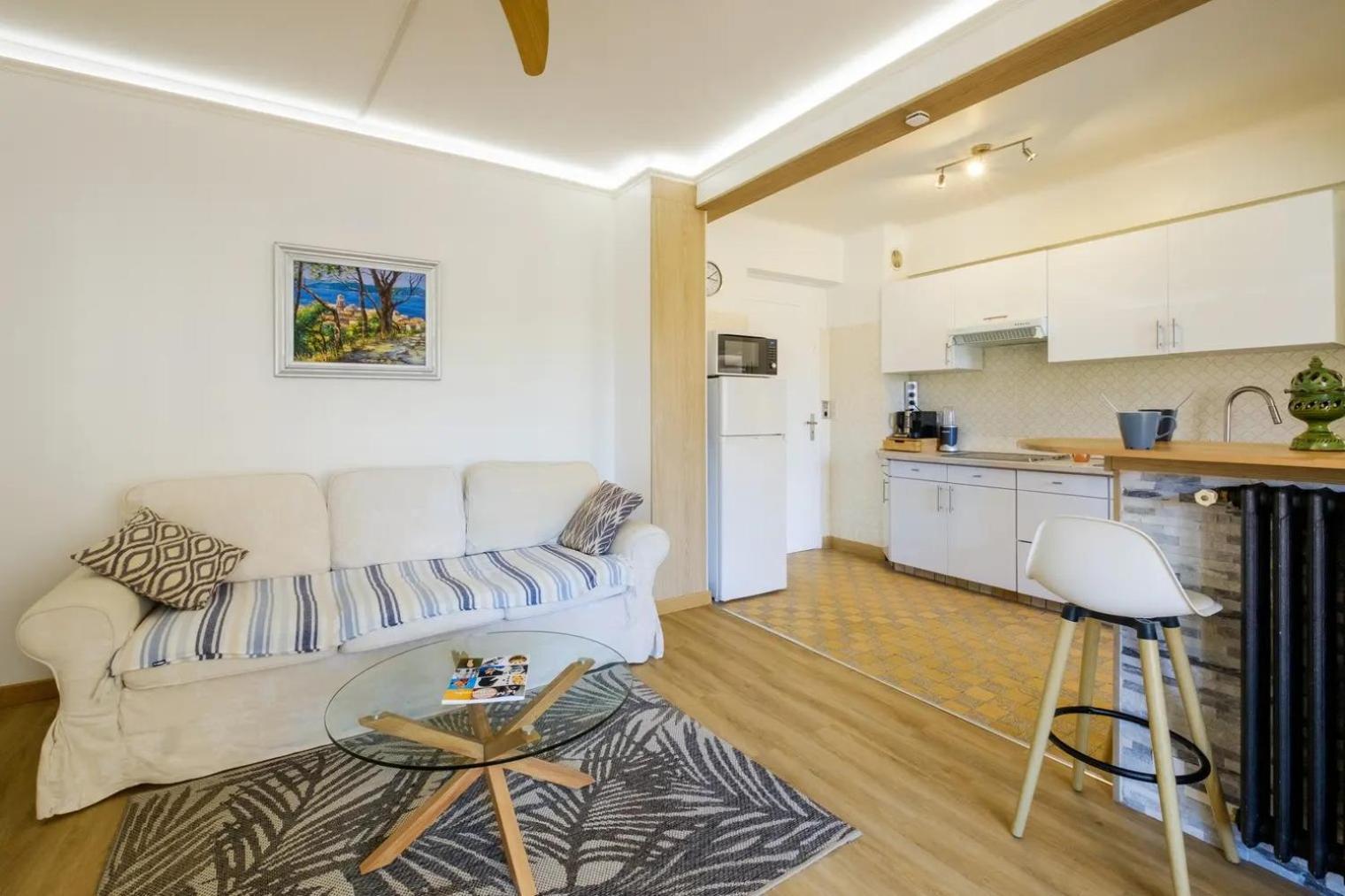 Apartment Croisette 2 Bedroom And Terrace